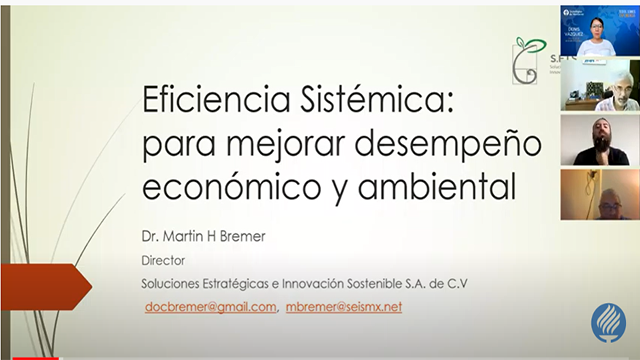 Screen video eficienciasistemica